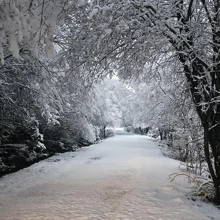 Pendan De Gredos Alpesi faház